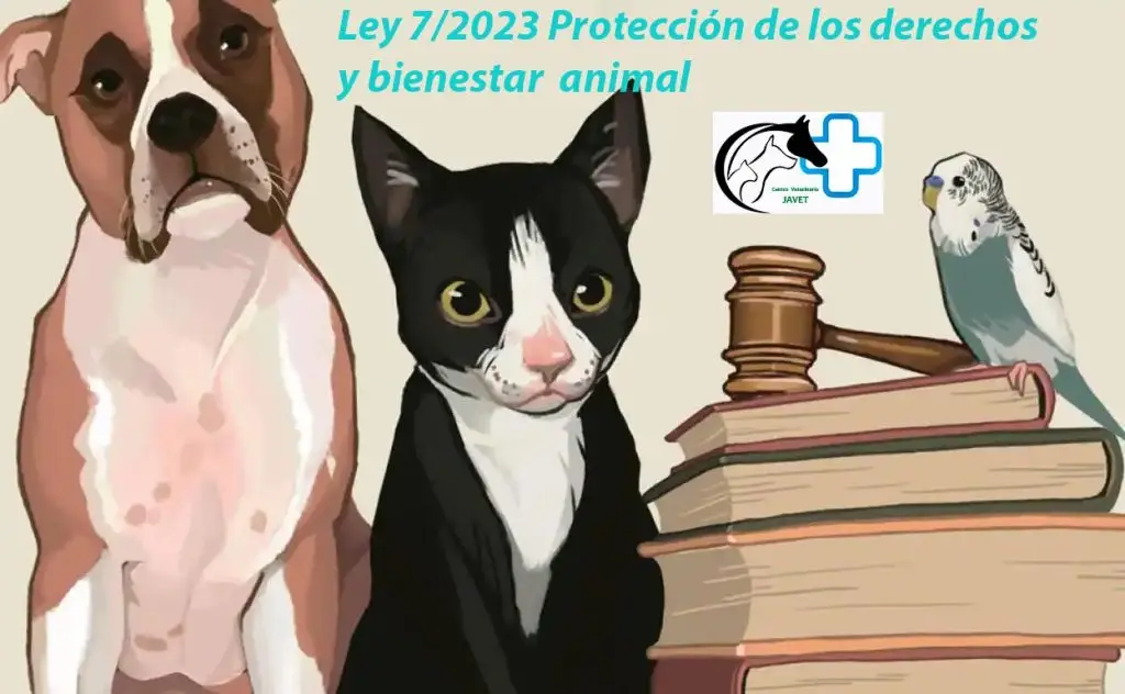portada ley